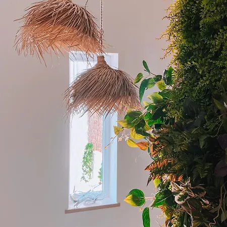 Captain Cook Ahoy Hotel